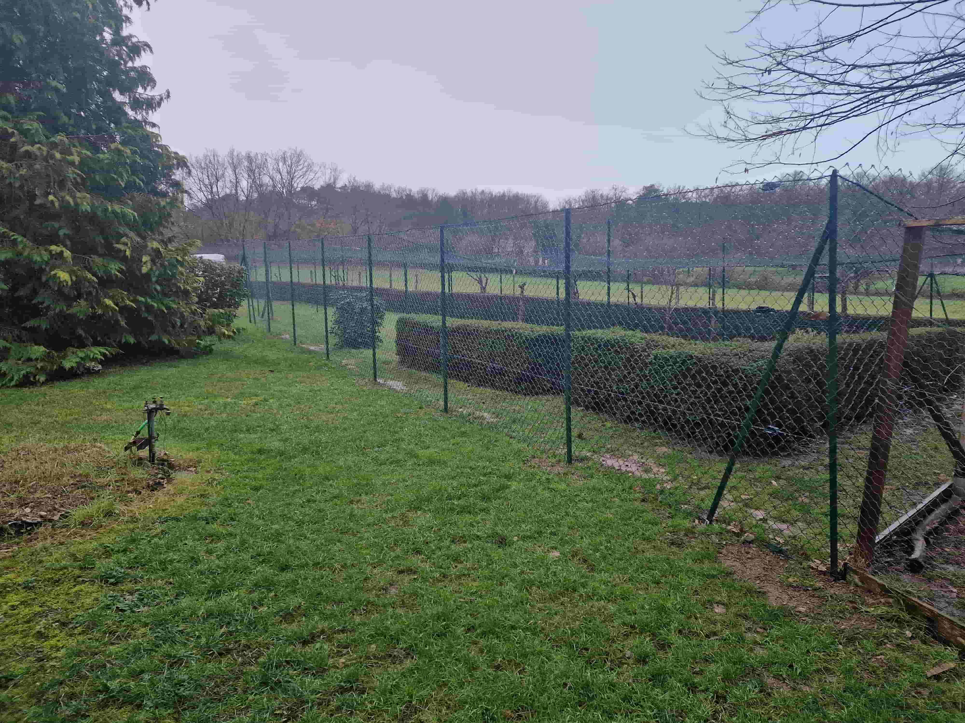 Clôture souple pour la réalisation d'un parc à chat à Availles en Châtellerault